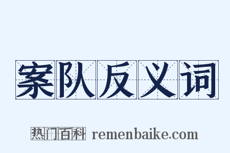 案队反义词是什么意思的图片